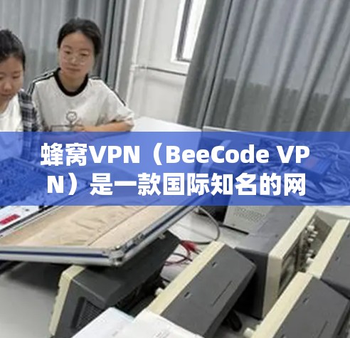 蜂窝VPN（BeeCode VPN）是一款国际知名的网络服务提供商，专注于提供安全、可靠的网络连接。尽管它在加密技术上有一定的优势，但其延迟问题主要取决于以下几个因素