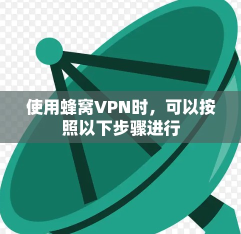 使用蜂窝VPN时，可以按照以下步骤进行