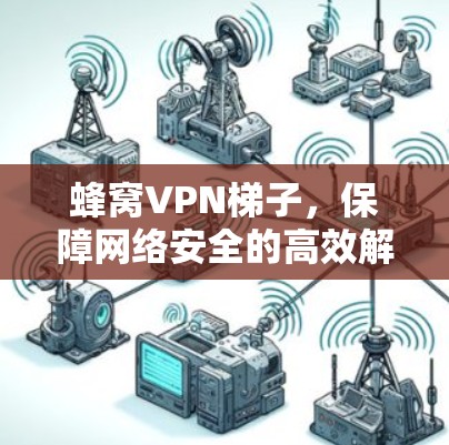 蜂窝VPN梯子，保障网络安全的高效解决方案