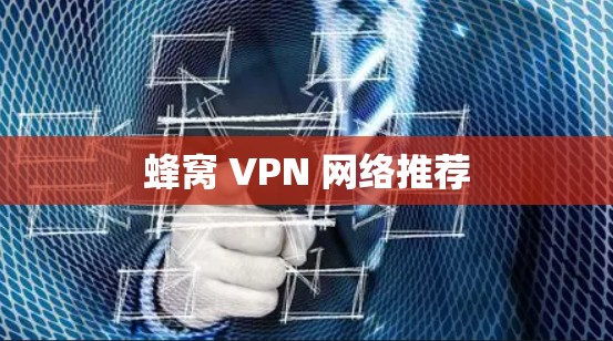 蜂窝 VPN 网络推荐