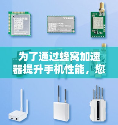 为了通过蜂窝加速器提升手机性能，您可以按照以下步骤操作