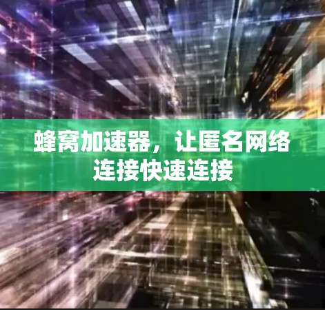 蜂窝加速器，让匿名网络连接快速连接