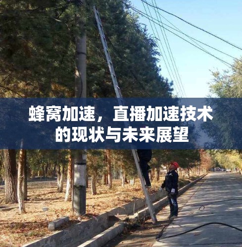 蜂窝加速，直播加速技术的现状与未来展望