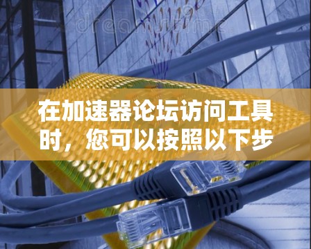 在加速器论坛访问工具时，您可以按照以下步骤操作