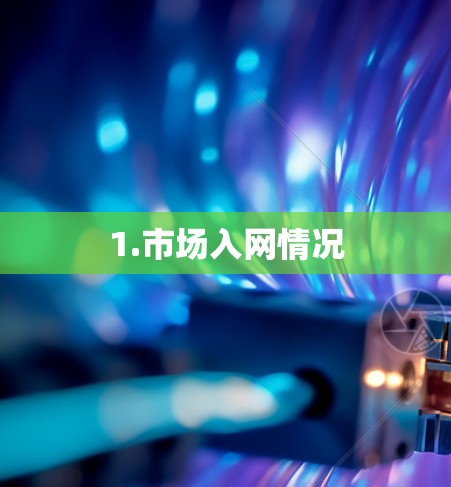 1.市场入网情况