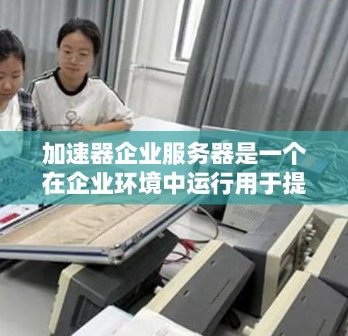加速器企业服务器是一个在企业环境中运行用于提升效率和处理复杂任务的特殊加速器解决方案。以下是对加速器企业服务器的详细分析和总结