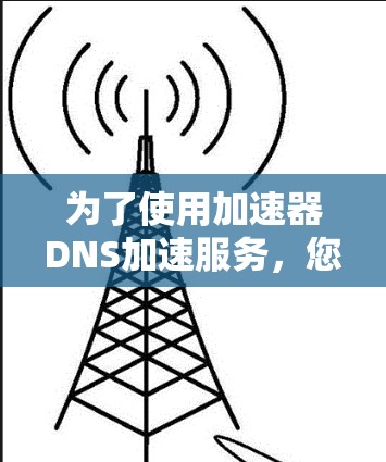 为了使用加速器DNS加速服务,您可以按照以下步骤进行 为了使用加速器DNS加速服务,您可以按照以下步骤进行