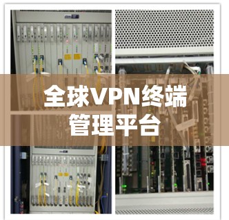 全球VPN终端管理平台 全球VPN终端管理平台