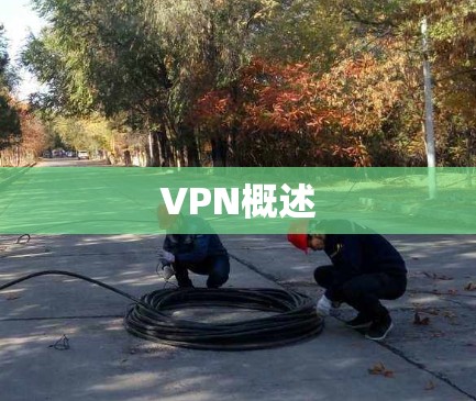 VPN概述 VPN概述
