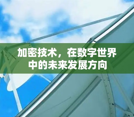 加密技术,在数字世界中的未来发展方向 加密技术,在数字世界中的未来发展方向
