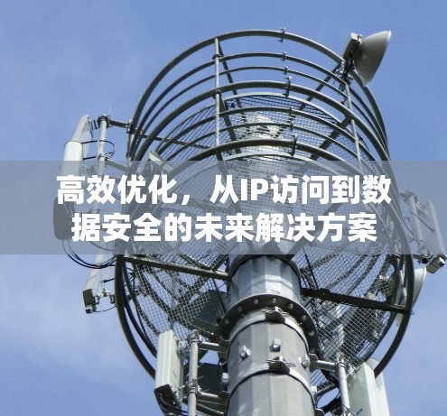 高效优化,从IP访问到数据安全的未来解决方案 高效优化,从IP访问到数据安全的未来解决方案