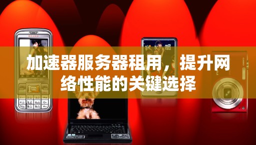 加速器服务器租用,提升网络性能的关键选择 加速器服务器租用,提升网络性能的关键选择