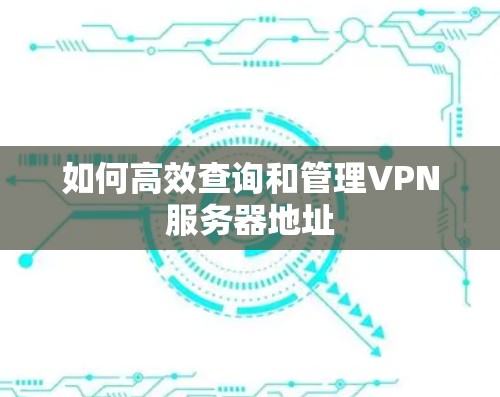 如何高效查询和管理VPN服务器地址 如何高效查询和管理VPN服务器地址