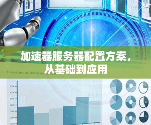 加速器服务器配置方案，从基础到应用