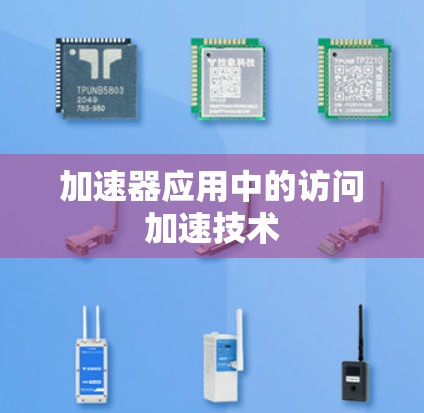 加速器应用中的访问加速技术 加速器应用中的访问加速技术