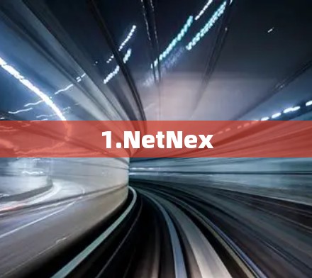 1.NetNex 1.NetNex
