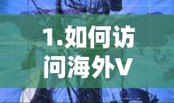 1.如何访问海外VPN平台? 1.如何访问海外VPN平台?