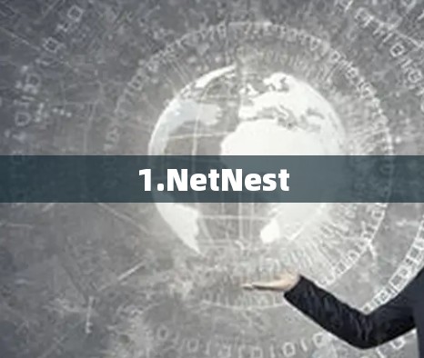 1.NetNest 1.NetNest