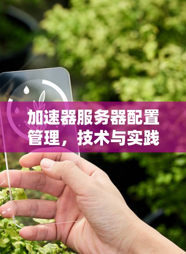 加速器服务器配置管理,技术与实践的平衡 加速器服务器配置管理,技术与实践的平衡