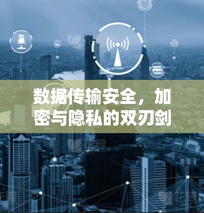 数据传输安全,加密与隐私的双刃剑 数据传输安全,加密与隐私的双刃剑
