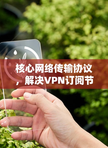 核心网络传输协议,解决VPN订阅节点问题 核心网络传输协议,解决VPN订阅节点问题