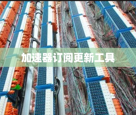 加速器订阅更新工具 加速器订阅更新工具