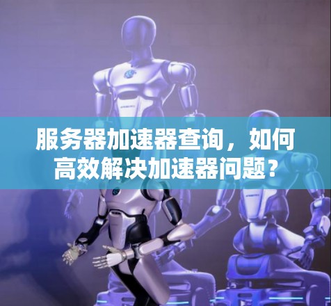 服务器加速器查询,如何高效解决加速器问题? 服务器加速器查询,如何高效解决加速器问题?