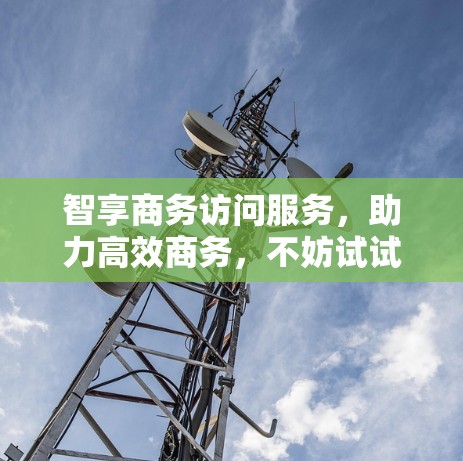 智享商务访问服务,助力高效商务,不妨试试 智享商务访问服务,助力高效商务,不妨试试