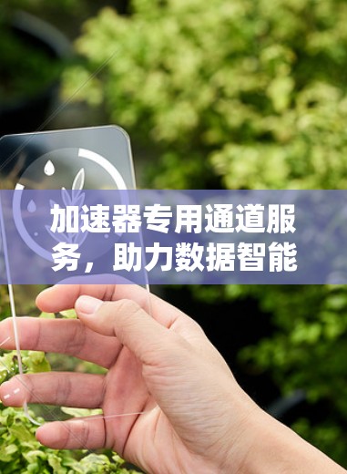 加速器专用通道服务,助力数据智能化提升 加速器专用通道服务,助力数据智能化提升