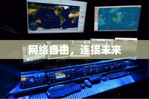 网络自由,连接未来 网络自由,连接未来