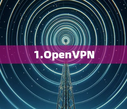 1.OpenVPN 1.OpenVPN