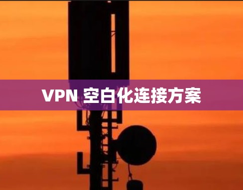 VPN 空白化连接方案 VPN 空白化连接方案