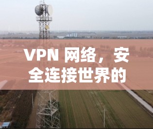 VPN 网络,安全连接世界的另一扇门 VPN 网络,安全连接世界的另一扇门