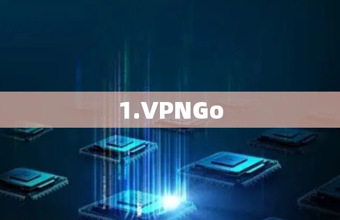 1.VPNGo 1.VPNGo