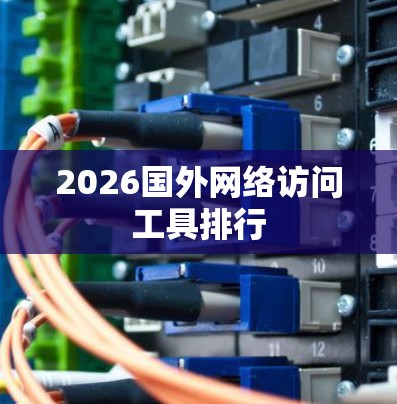 2026国外网络访问工具排行 2026国外网络访问工具排行