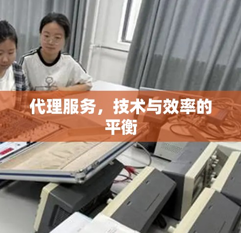 代理服务,技术与效率的平衡 代理服务,技术与效率的平衡