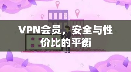VPN会员，安全与性价比的平衡