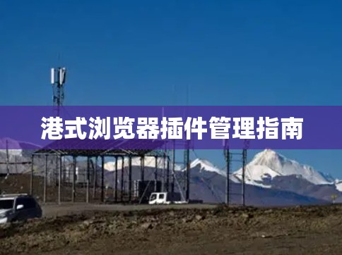 港式浏览器插件管理指南