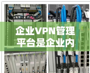 企业VPN管理平台是企业内部使用以保护内部数据安全的网络传输工具。以下是该平台的主要功能及使用指南