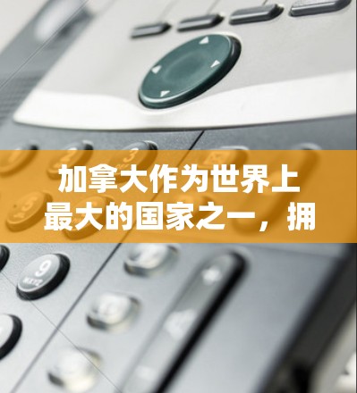 加拿大作为世界上最大的国家之一，拥有丰富的网络资源和丰富的VPN服务。然而，VPN在加拿大的选择和使用也存在一定的法律和政策限制。以下是一些需要注意的地方和建议