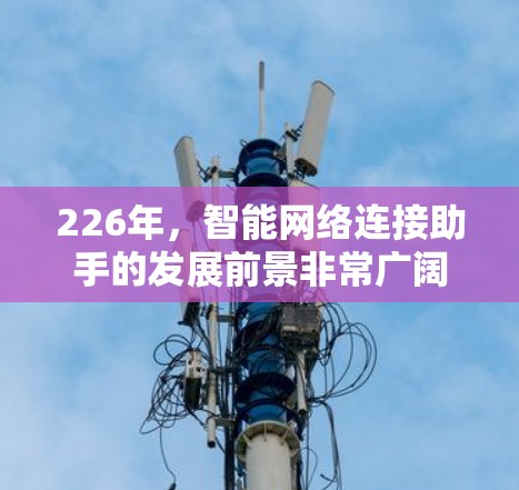 226年，智能网络连接助手的发展前景非常广阔，特别是在物联网、5G网络和人工智能的推动下，这一领域将变得更加智能化、自动化和用户友好的。以下是关于226年智能网络连接助手的一些分析和展望