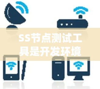 SS节点测试工具是开发环境中用于测试存储设备（SS_node）的能力工具。以下是对该工具的详细分析