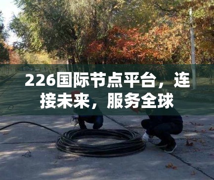 226国际节点平台，连接未来，服务全球