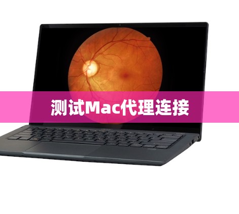 测试Mac代理连接