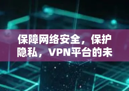 保障网络安全，保护隐私，VPN平台的未来之路