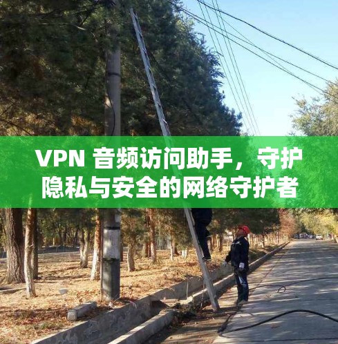 VPN 音频访问助手，守护隐私与安全的网络守护者