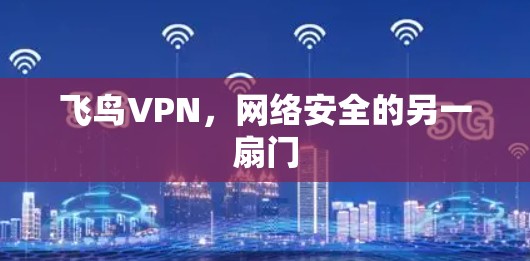飞鸟VPN，网络安全的另一扇门