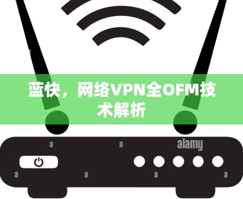 蓝快，网络VPN全OFM技术解析