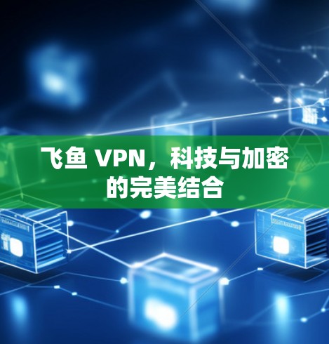 飞鱼 VPN,科技与加密的完美结合 飞鱼 VPN,科技与加密的完美结合