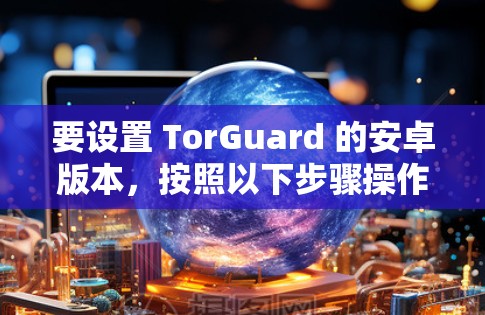 要设置 TorGuard 的安卓版本，按照以下步骤操作